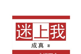 迷上我 成真 PDF