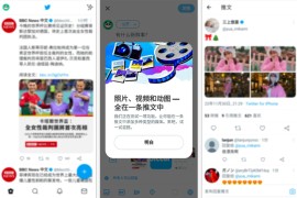 Twitter X v10.81.0 安卓绿化版