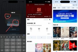 大师兄影视 v5.3.0 iOS绿化版