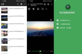 XPlayer v2.4.5 安卓绿化版