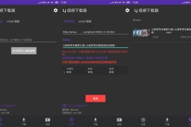 Lj视频下载器 v1.1.47 安卓绿化版