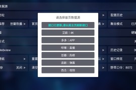 申小豹 v20254 TV版