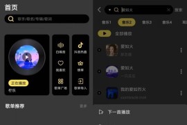 柠乐音乐 v1.3.87(11387) 安卓绿化版