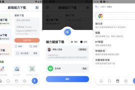 超强磁力下载 v1.3.5 安卓绿化版