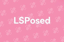 LSPosed Framework – LSPosed 更新中的分支版本