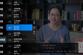 高清电视 v2.96 TV版