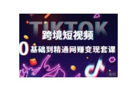 跨境短视频TIKTOK 0基础到精通网赚变现套课，跨境短视频独立站带货变现技巧