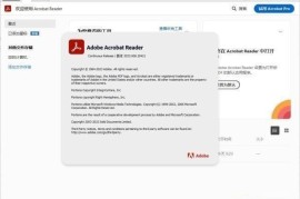 Adobe Acrobat Reader v2024.002.20759 中文直装版