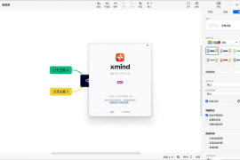 XMind 2024 v24.10 中文免安装绿色特别版 (Win/Mac)