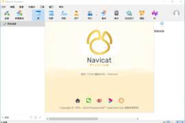 Navicat Premium(数据库管理工具) v17.0.4 中文破解版 & 便携版