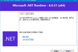 Microsoft .NET Runtime(.NET6.0下载) v6.0.31