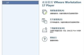 VMware Workstation Player(虚拟机平台) v17.5.2.23775571