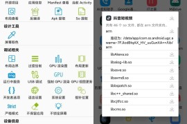 开发助手 v8.5.1 安卓绿化版