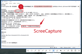 ScreenCapture(轻量级单文件截图工具) v2.1.9 中文绿色版