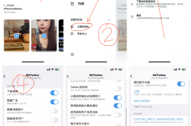 Twitter X v10.66 iOS绿化版