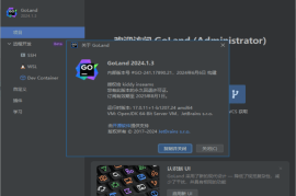 JetBrains GoLand(Go语言集成开发环境) 2024.1.3 直装激活版