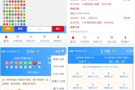 最新大富二开UI双玩法天天娱乐/番摊玩法/USDT支付