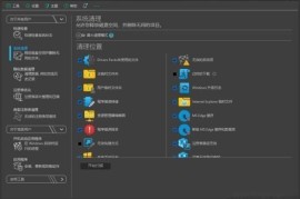 Reg Organizer(注册表整理工具) v9.45b2 多语便携版