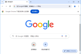 Google Chrome(谷歌浏览器) v126.0.6478.62 多语便携版