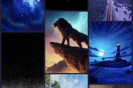 Walli: Cool Wallpapers HD, 4K v1.58.0 iOS绿化版