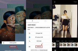 VSCO v389 安卓绿化版