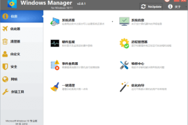 Windows Manager 10/11(Win10/11优化大师) v2.0.1 多语便携版