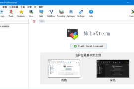 MobaXterm(远程终极工具箱) v24.2 Build 5220 绿色版