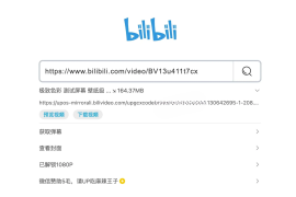 bilibiliDown-极简纯净B站视频解析提取工具