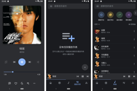 Oto Music v4.0.7 安卓绿化版
