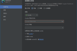 JetBrains DataSpell(集成开发环境) 2024.1.3 直装激活版