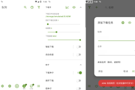 Advanced Download Manager Pro(ADM) v14.0.37 安卓绿化版