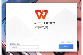 WPS政务、电信定制版，内置了授权，无限制使用！