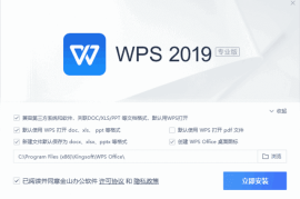 WPS Office 2019专业增强版 v11.8.2.12265 永久激活版