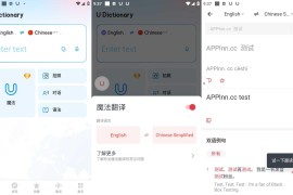 有道词典U-Dictionary v7.6.8/v6.6.7 安卓绿化版