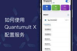 圈x教程-QuantumultX从入门到弃坑