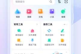 百度网盘/百度网盘国际版 v12.8.1_opt/3.27.1_(363) 安卓绿化版