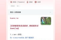 西语助手 v9.6.3(25259) 安卓绿化版