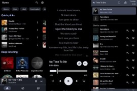 Metrolist - 轻量级 Android 第三方 YouTube Music 客户端