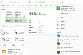 DevCheck v5.20 安卓绿化版