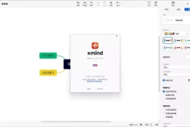 XMind 2024 v25.01 中文免安装绿色特别版 (Win/Mac)