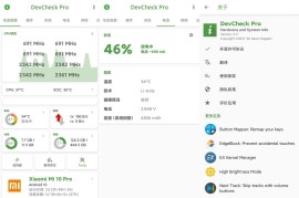 DevCheck v5.35 安卓绿化版