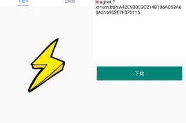 闪电磁力 v1.1.0 安卓绿化版