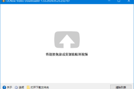 DLNow Video Downloader v1.53.2024.06.13 多语便携版