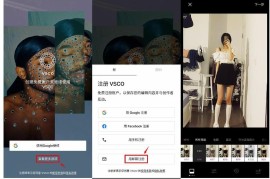 VSCO v380.0.0 iOS绿化版