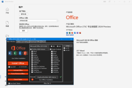 微软Office LTSC 2024(直装破解版)x64 v16.0.17811.20000 预览版