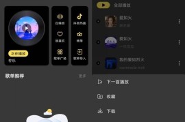 柠乐音乐 v1.3.87(11387) 安卓绿化版