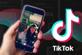 TikTok(抖音国际版) v35.4.4 安卓绿化多版本