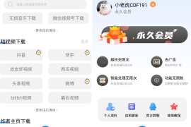 下载工具箱APP v3.8.5 安卓绿化版