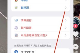 抖音 v30.9.0(14) iOS绿化版-插件更新