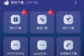 速度下载 v1.0.5 安卓绿化版